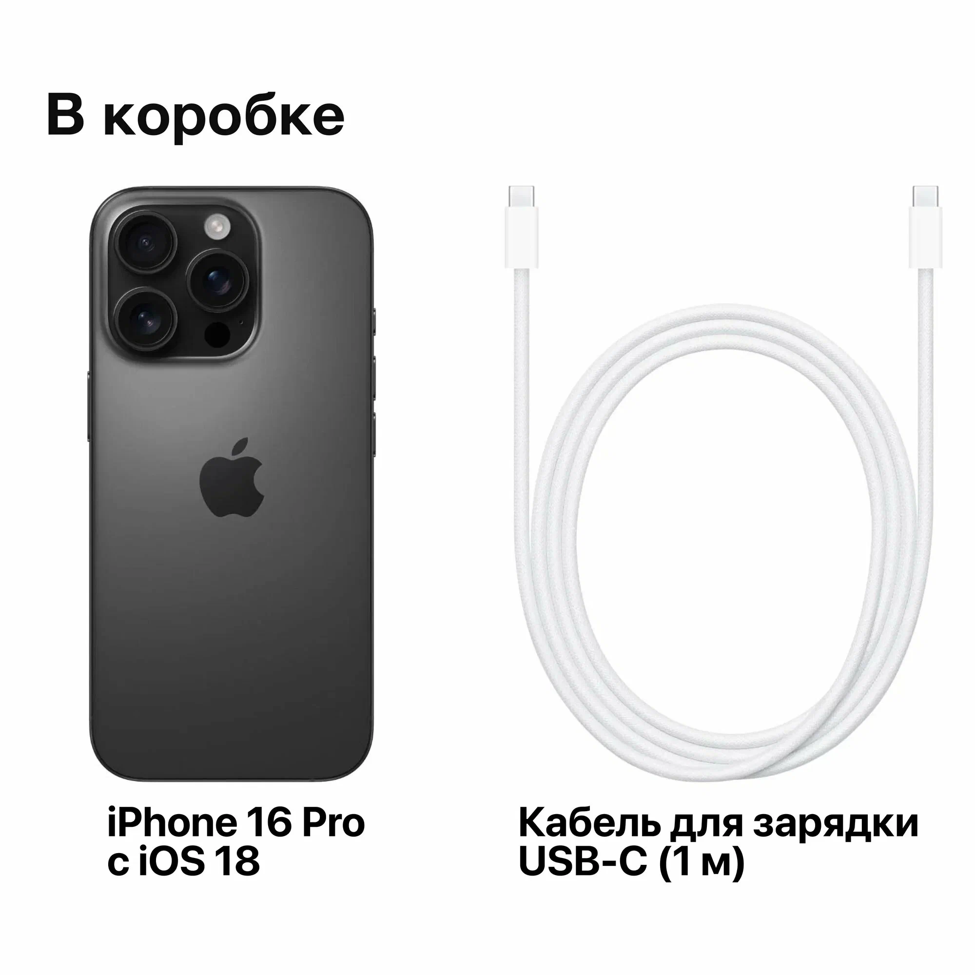 Apple iPhone 16 Pro 512GB, Black Titanium (nano-SIM + nano-SIM) JP изображение 9