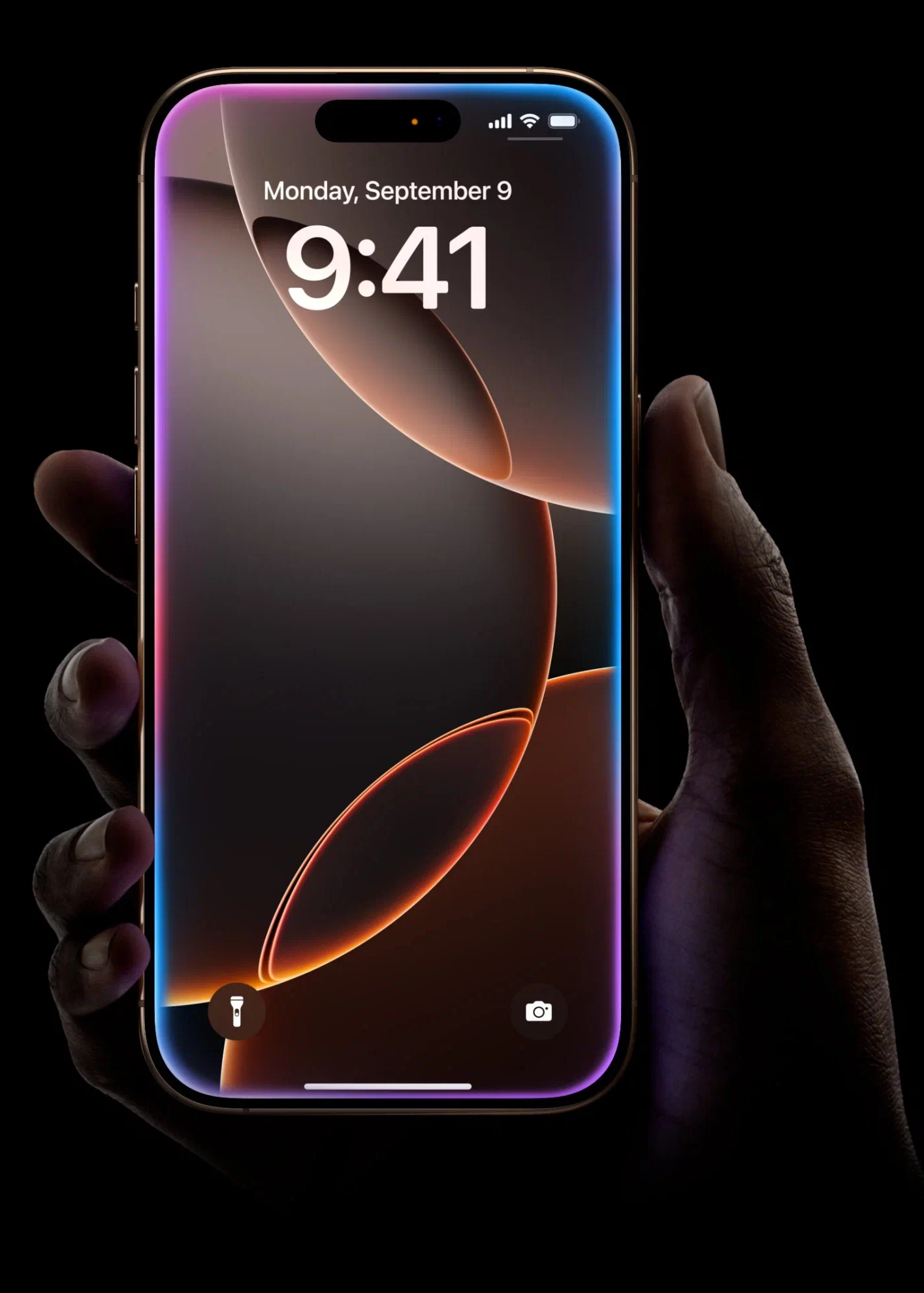 Смартфон Apple iPhone 16 Pro 1Tb 6.3 OLED, A18 PRO, Desert Titanium Dual nano SIM + eSIM, золотистый пустынный JP изображение 14