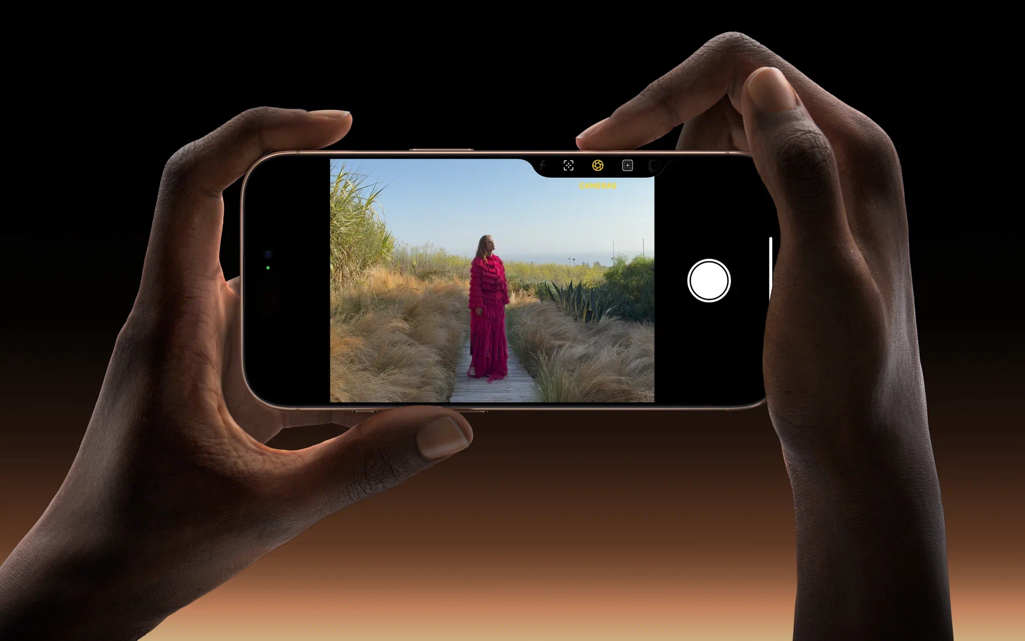 Смартфон Apple iPhone 16 Pro 1Tb 6.3 OLED, A18 PRO, Desert Titanium Dual nano SIM + eSIM, золотистый пустынный JP изображение 15